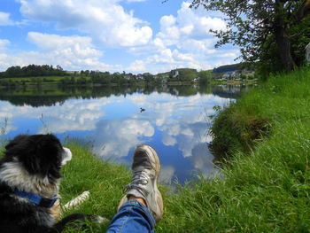 Low section of man with dog on lake