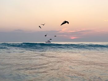Birds flying over sea against sky during sunset