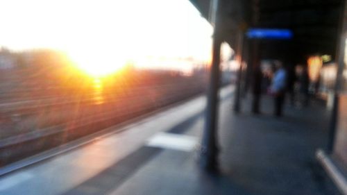 Sun shining through trees