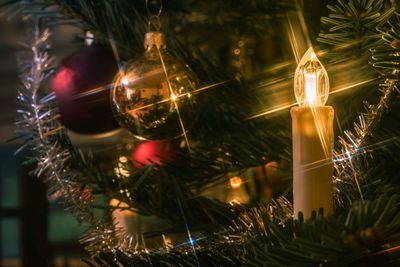 Close-up of illuminated christmas tree at night
