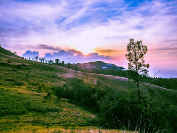 Scenic view of field against sky during sunset