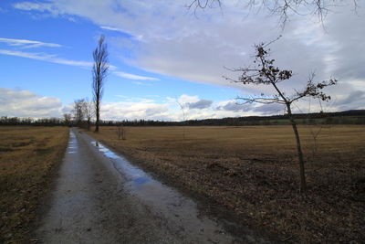 Dirt road amidst plants on field against sky