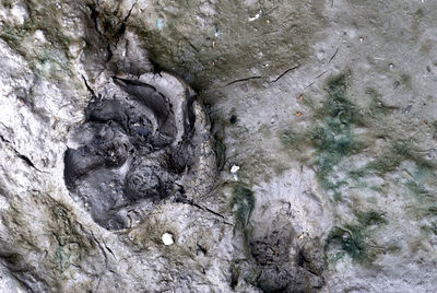 Full frame shot of rocks in water