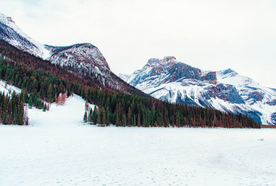 Scenic view of snow covered mountain against sky