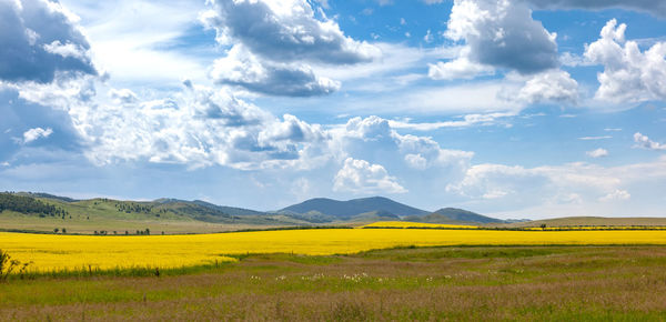 Steppe landscape, hills and yellow grass under a cloudy sky, khakassia, russia