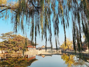 Scenic view of lake by trees against sky