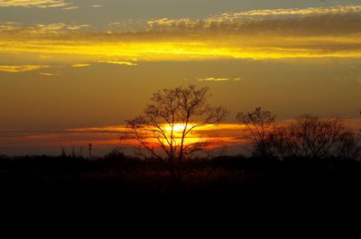 Silhouette trees against dramatic sky during sunset