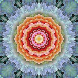 Full frame shot of multi colored flower