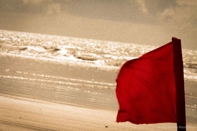 Close-up of red chili pepper on sand