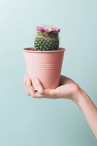 Midsection of woman holding pink flower against white background