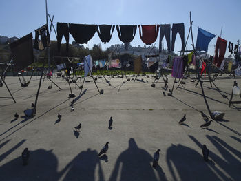 Group of people on beach