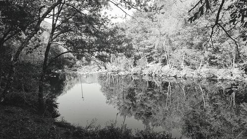 Reflection of trees in lake against sky