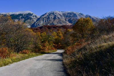 Road amidst plants and mountains against clear sky