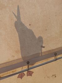 Shadow of person on wall