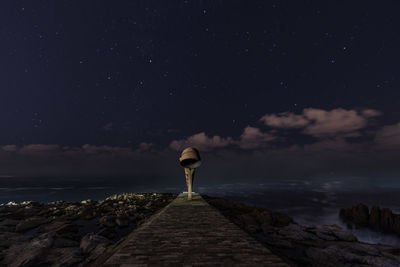 Seaside sculpture against sky at night