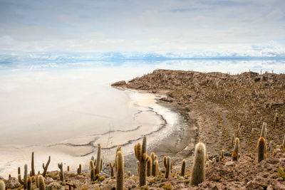View of calm beach against mountain range