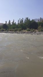 Scenic view of beach against clear sky