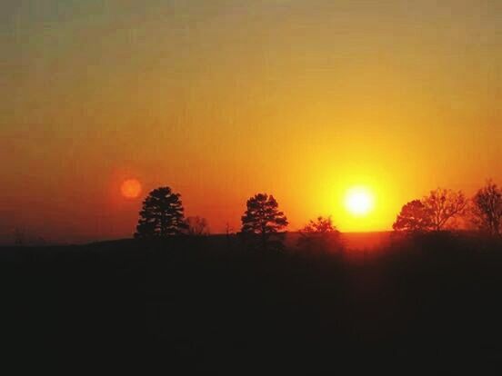 sunset, silhouette, orange color, scenics, sun, tranquil scene, beauty in nature, tranquility, copy space, idyllic, tree, nature, landscape, clear sky, sky, sunlight, outdoors, no people, field, non-urban scene