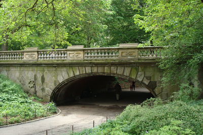 Arch bridge over river in forest