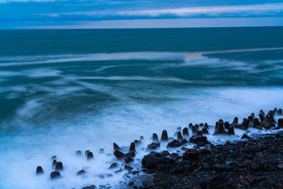 View of birds on beach