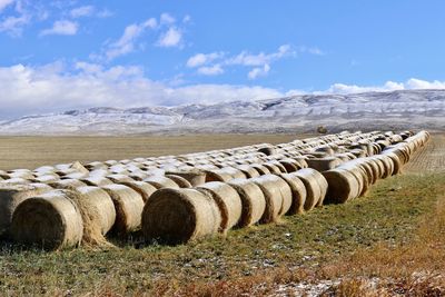 Hay bales on field against sky