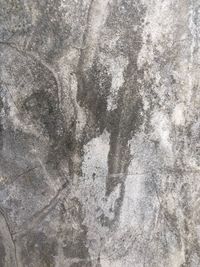 Full frame shot of cracked wall
