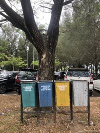 tree