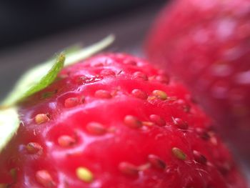 Close-up of strawberry