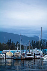 Sailboats in sea