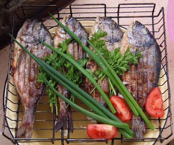 Close-up high angle view of seafood