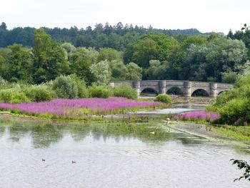 Scenic view of bridge over river against sky