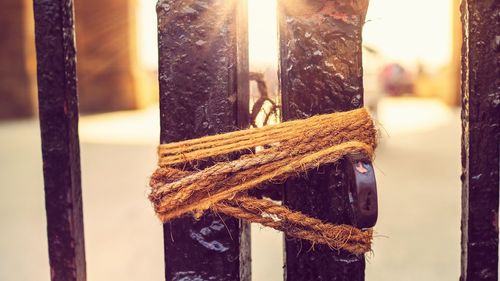 Close-up of wooden post during winter