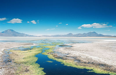 Scenic view of lake against blue sky