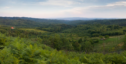 Scenic view of landscape against sky