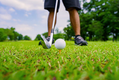 Low section of man standing on grass