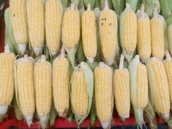 Sweetcorns for sale in market