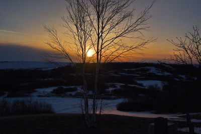 Silhouette bare tree against sky during sunset