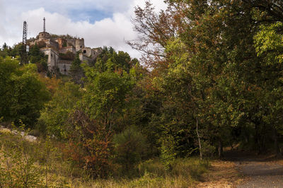 Trees and plants against sky
