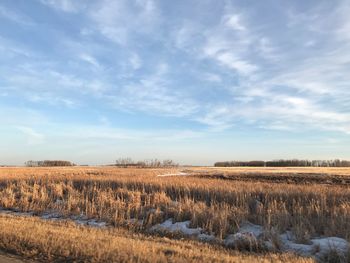 Sky scape and beautiful farm land cover the horizon behold natures tapestry