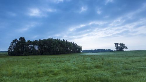 Trees on field against sky