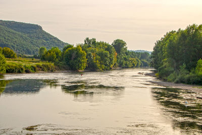 Scenic view of river amidst trees against sky