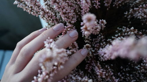 Close-up hand touching flowers