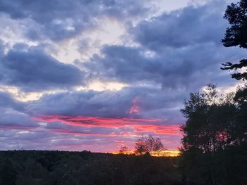 Low angle view of silhouette trees against dramatic sky