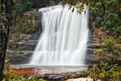 Scenic view of waterfall in forest