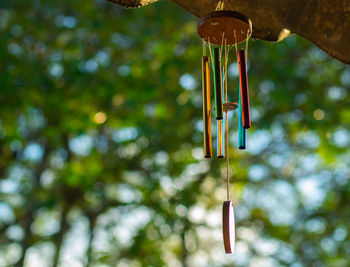 Low angle view of lighting equipment hanging on tree