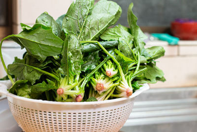 Close-up of vegetables in bowl