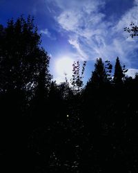 Low angle view of silhouette trees against sky