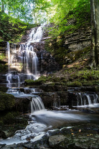 Scenic view of waterfall in forest