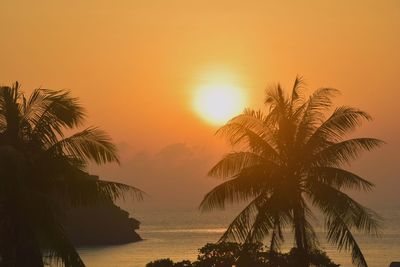 Silhouette palm tree by sea against romantic sky at sunset