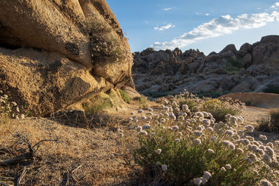 Rock formation on land against sky